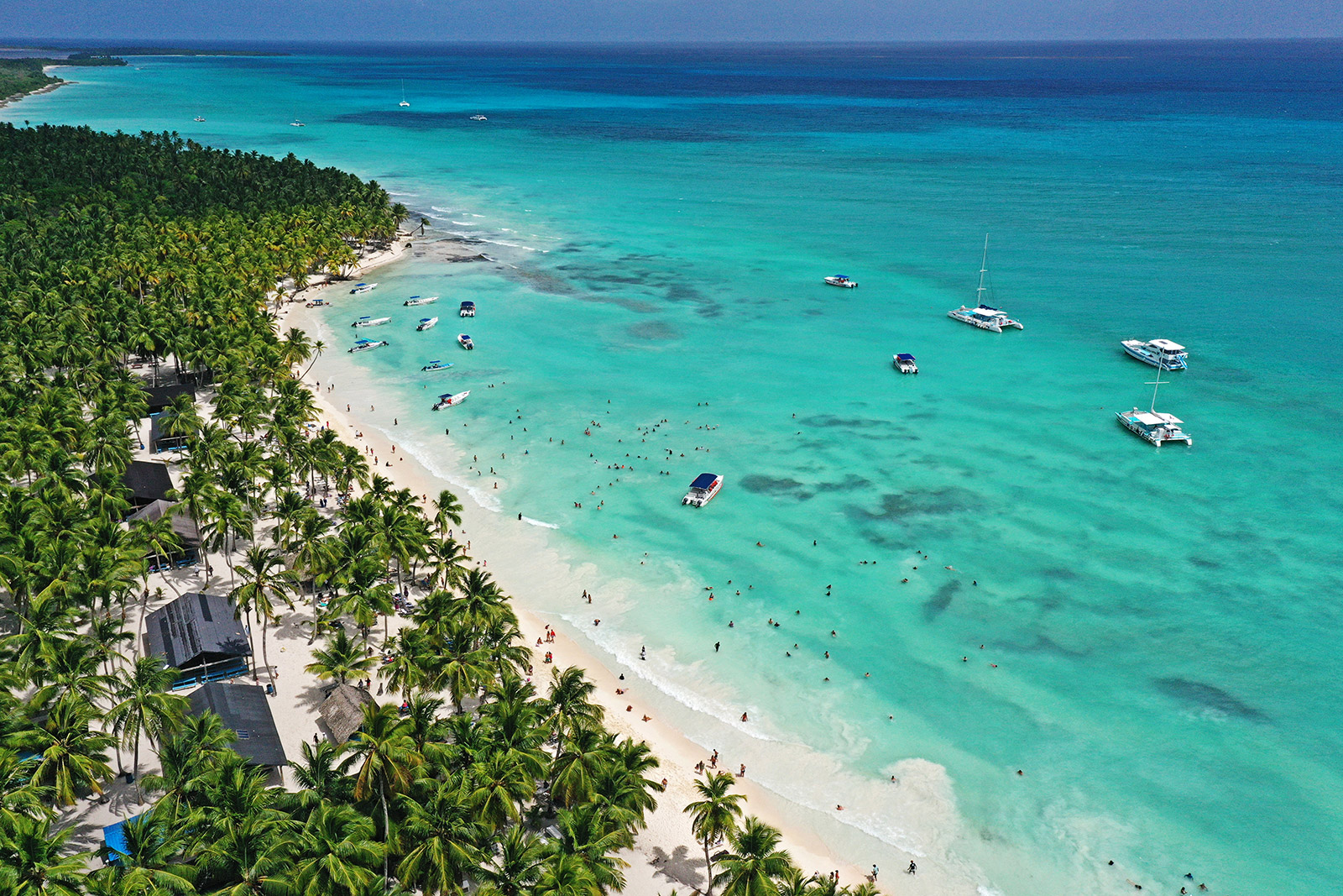 Saona Island Tour